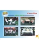 Garden Furniture